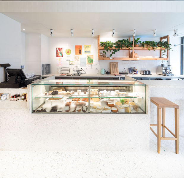 Seinälaatta Cello Primus 001.1 10x10 valkoinen matta 1m²