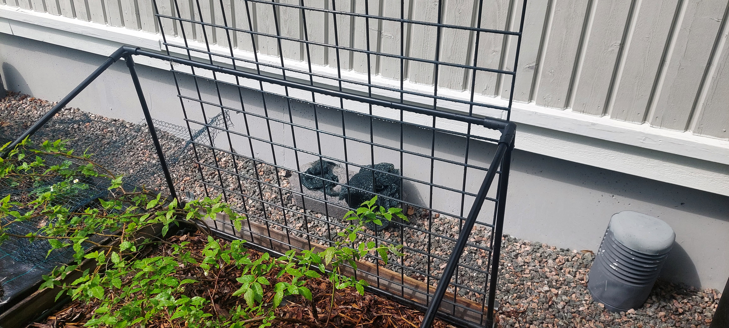 Köynnösaita Goodiy 90x160cm musta