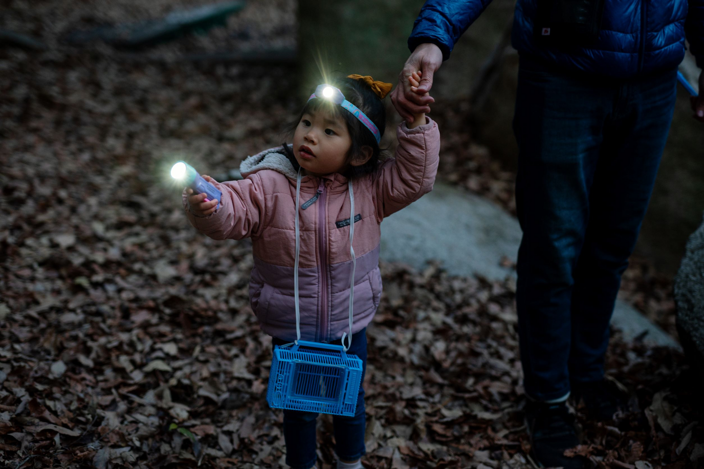 Taskulamppu Ledlenser Kidbeam4 violetti 70lm paristokäyttöinen