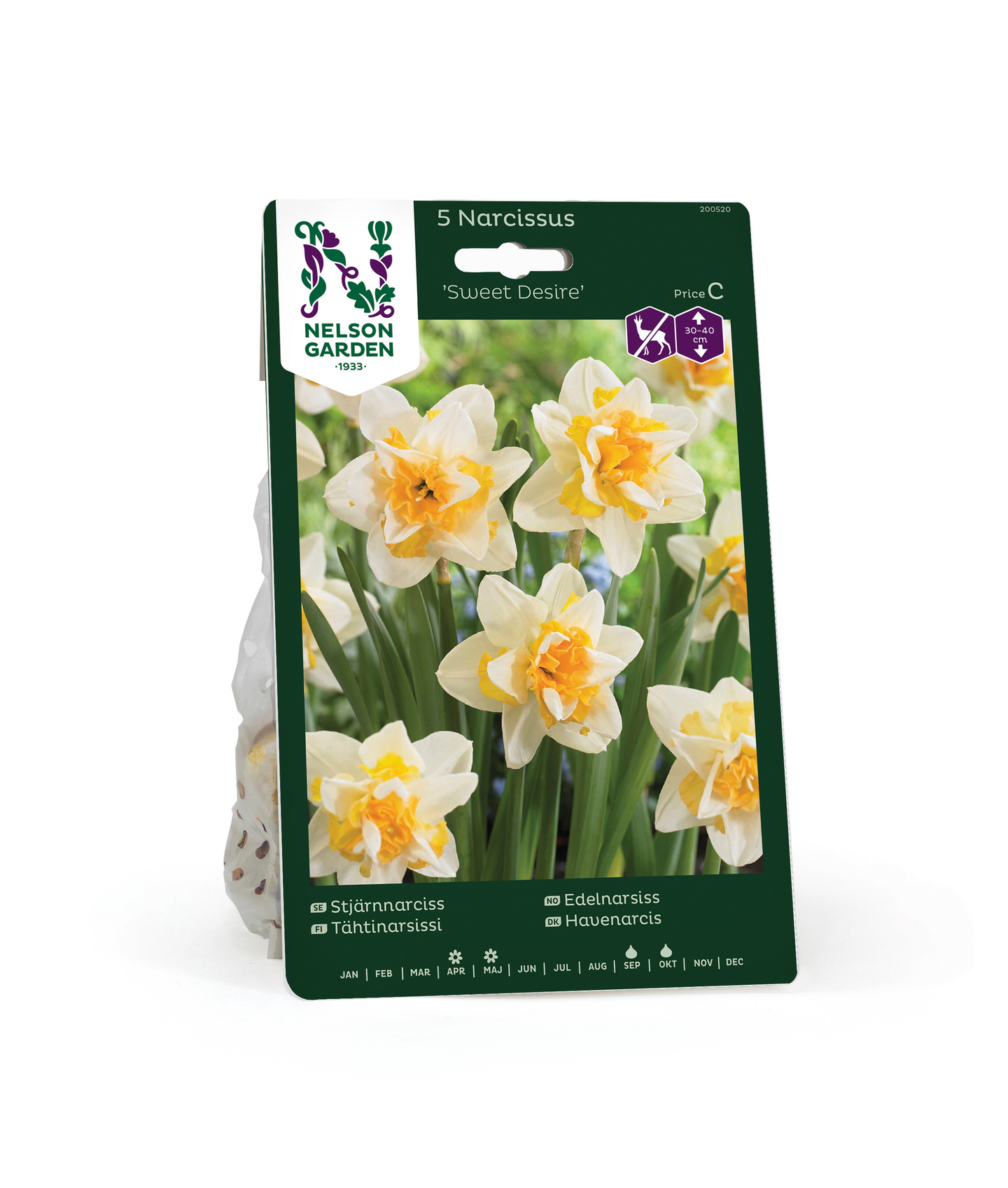 Tähtinarsissi Narcissus Sweet Desire Nelson Garden 5kpl