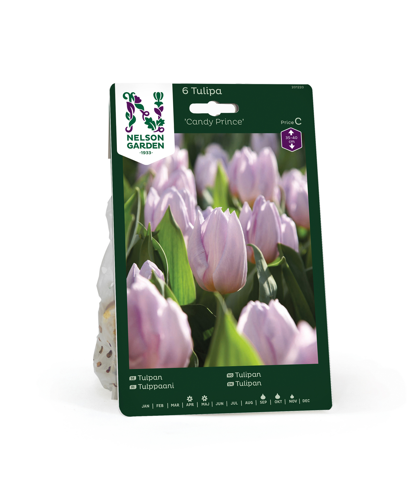 Tulppaani Tulipa Candy Prince Nelson Garden 6kpl