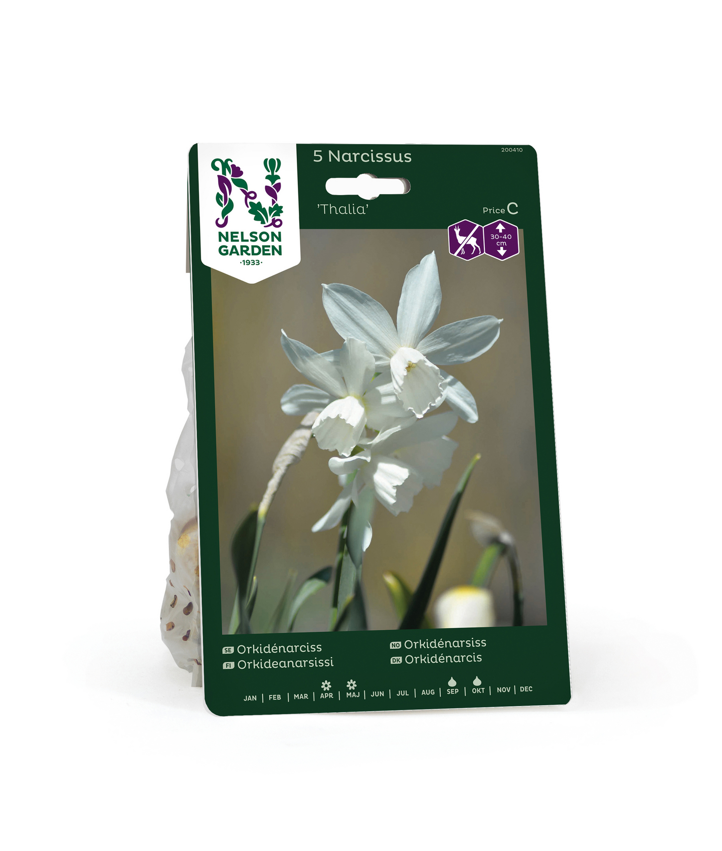 Narsissi Narcissus Thalia Nelson Garden 5kpl