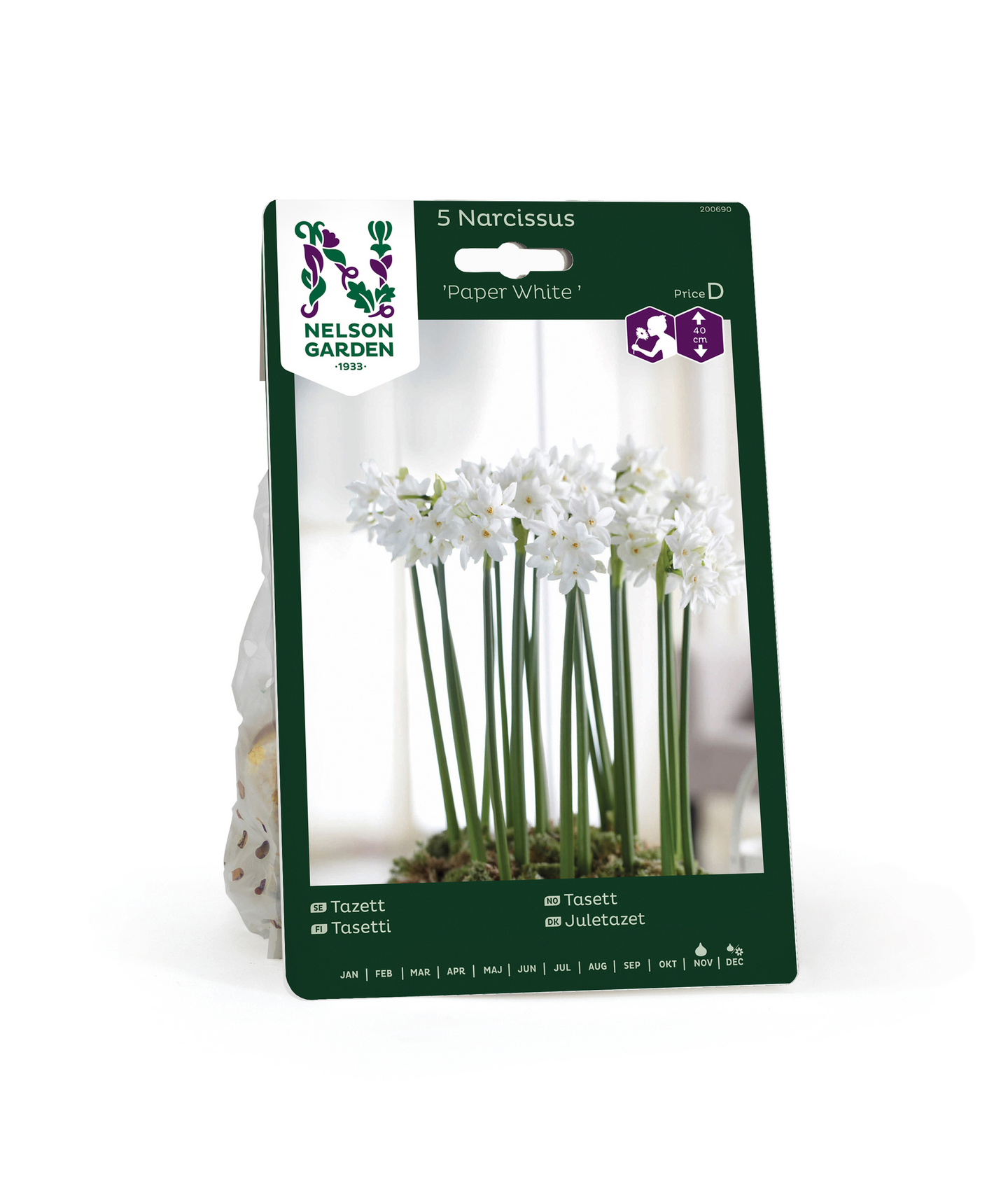 Tasetti Narcissus Papyraceus Paper White Nelson Garden 5kpl