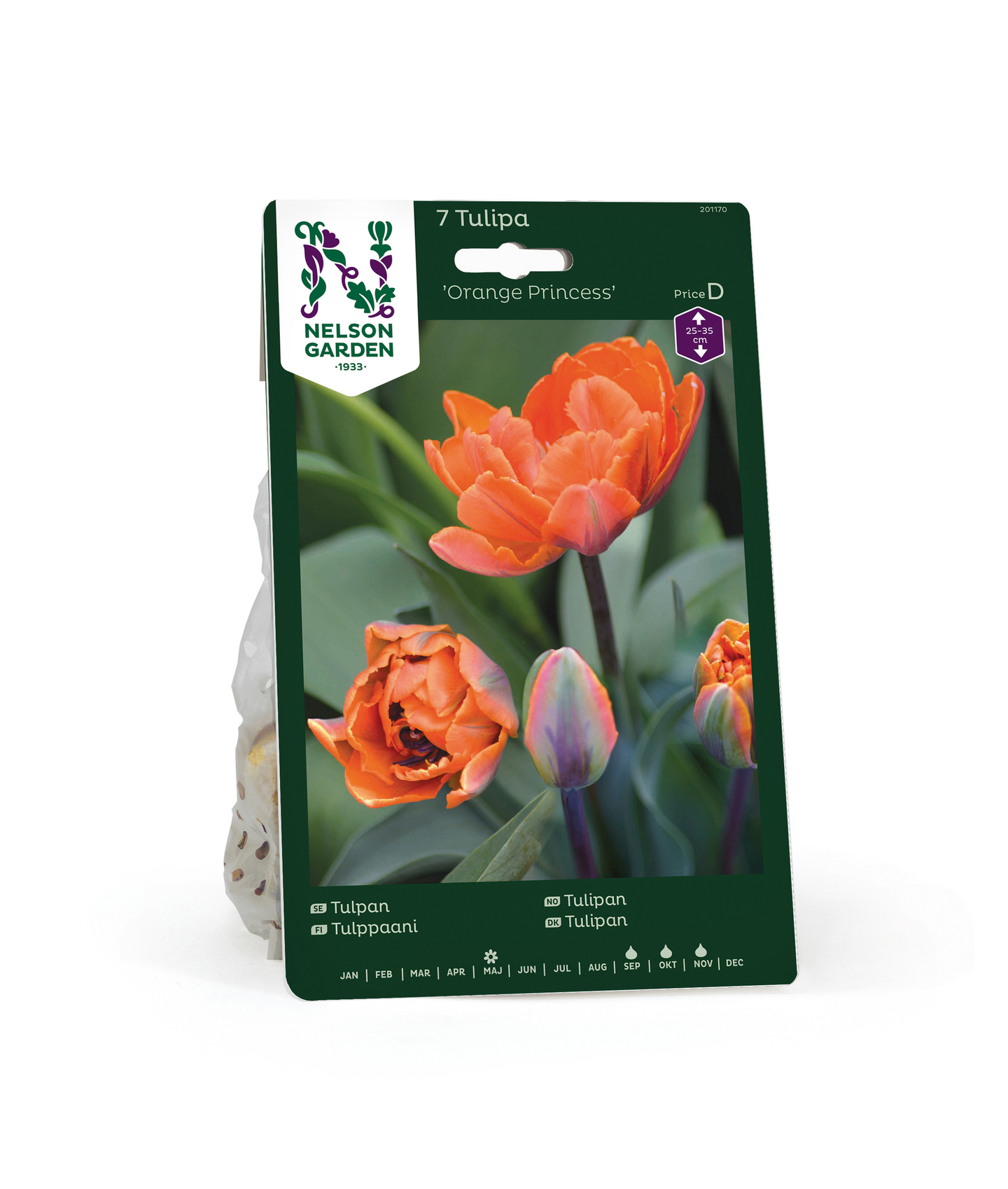 Tulppaani Tulipa Orange Princess Nelson Garden 7kpl