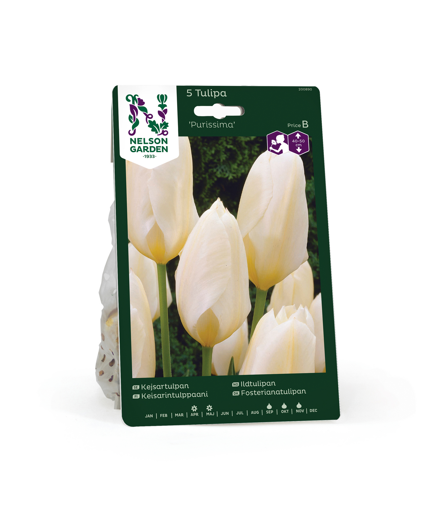 Keisarintulppaani Tulipa Purissima Nelson Garden 5kpl