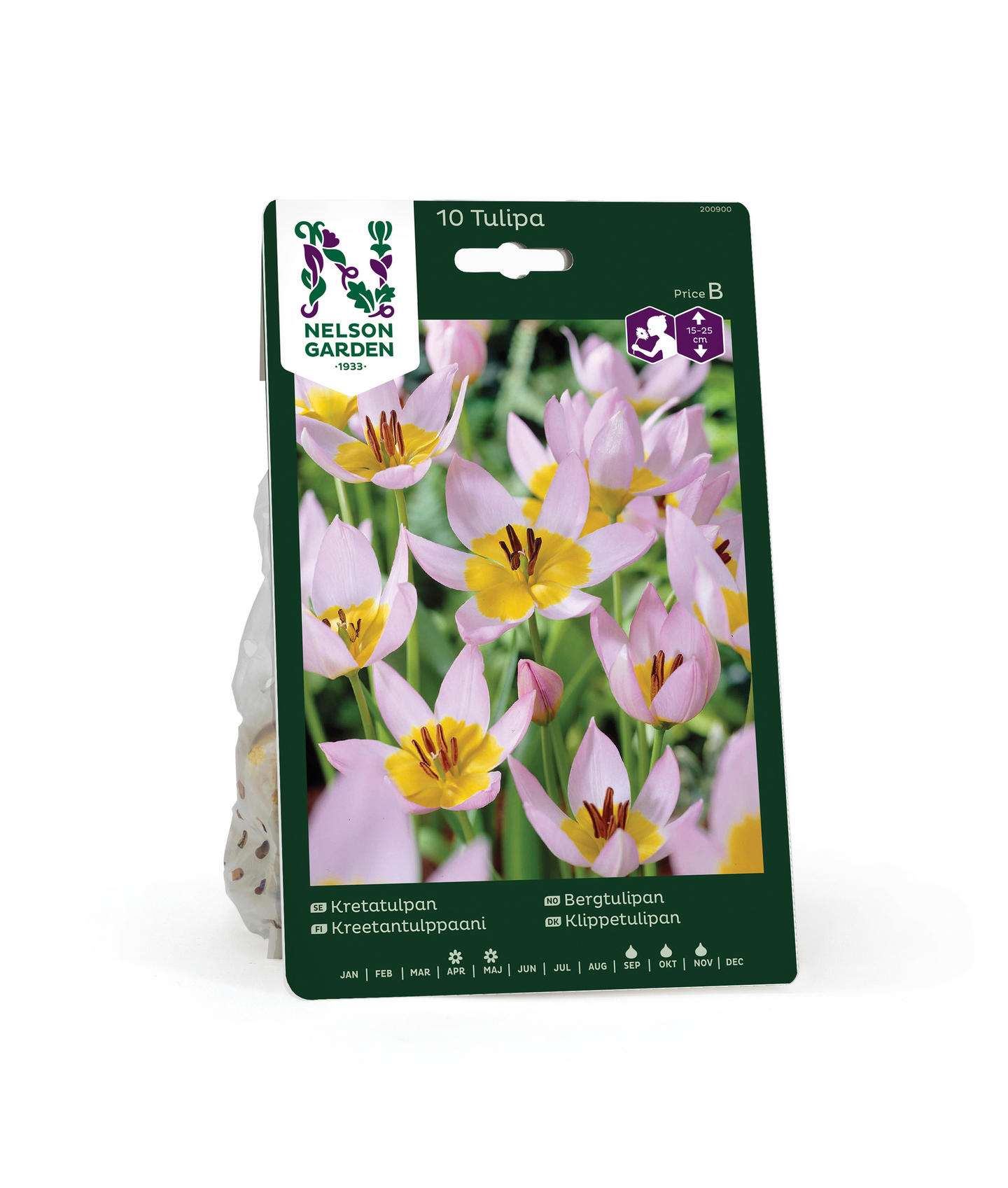 Kreetantulppaani Tulipa Saxatilis Nelson Garden 10kpl