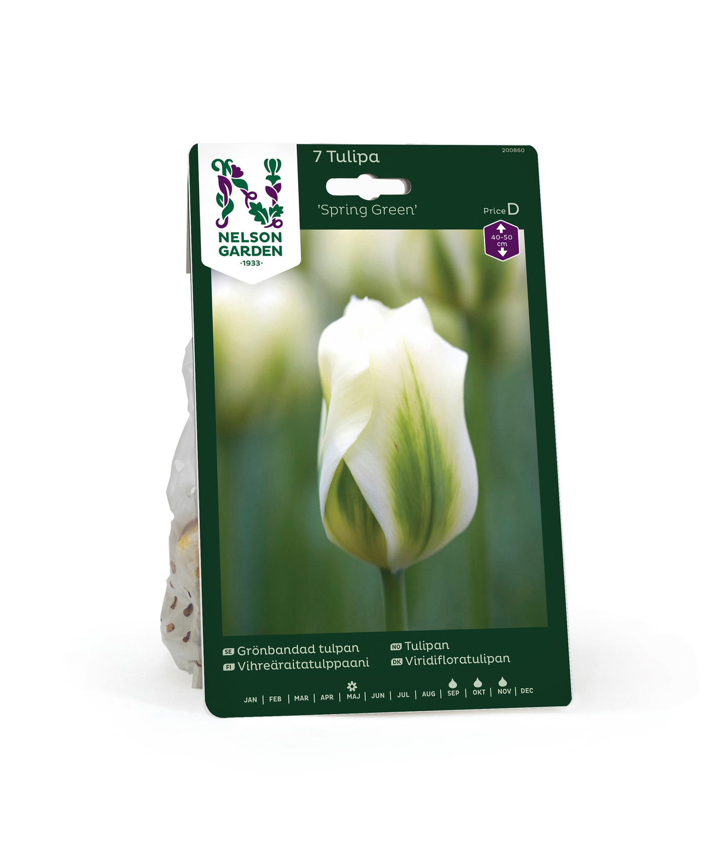 Tulppaani Tulipa Spring Green Nelson Garden 7kpl