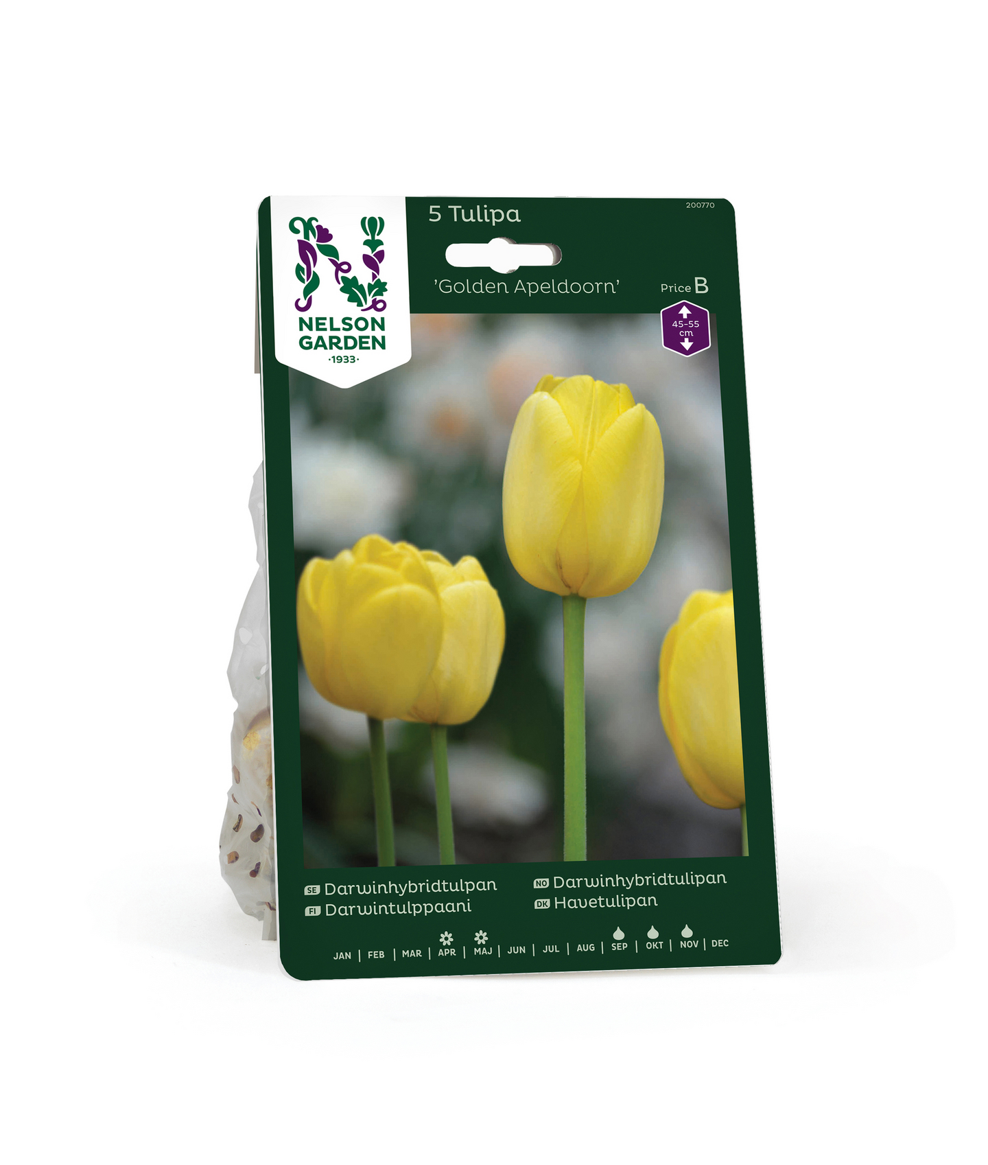 Darwintulppaani Tulipa Golden Apeldoorn Nelson Garden 5kpl