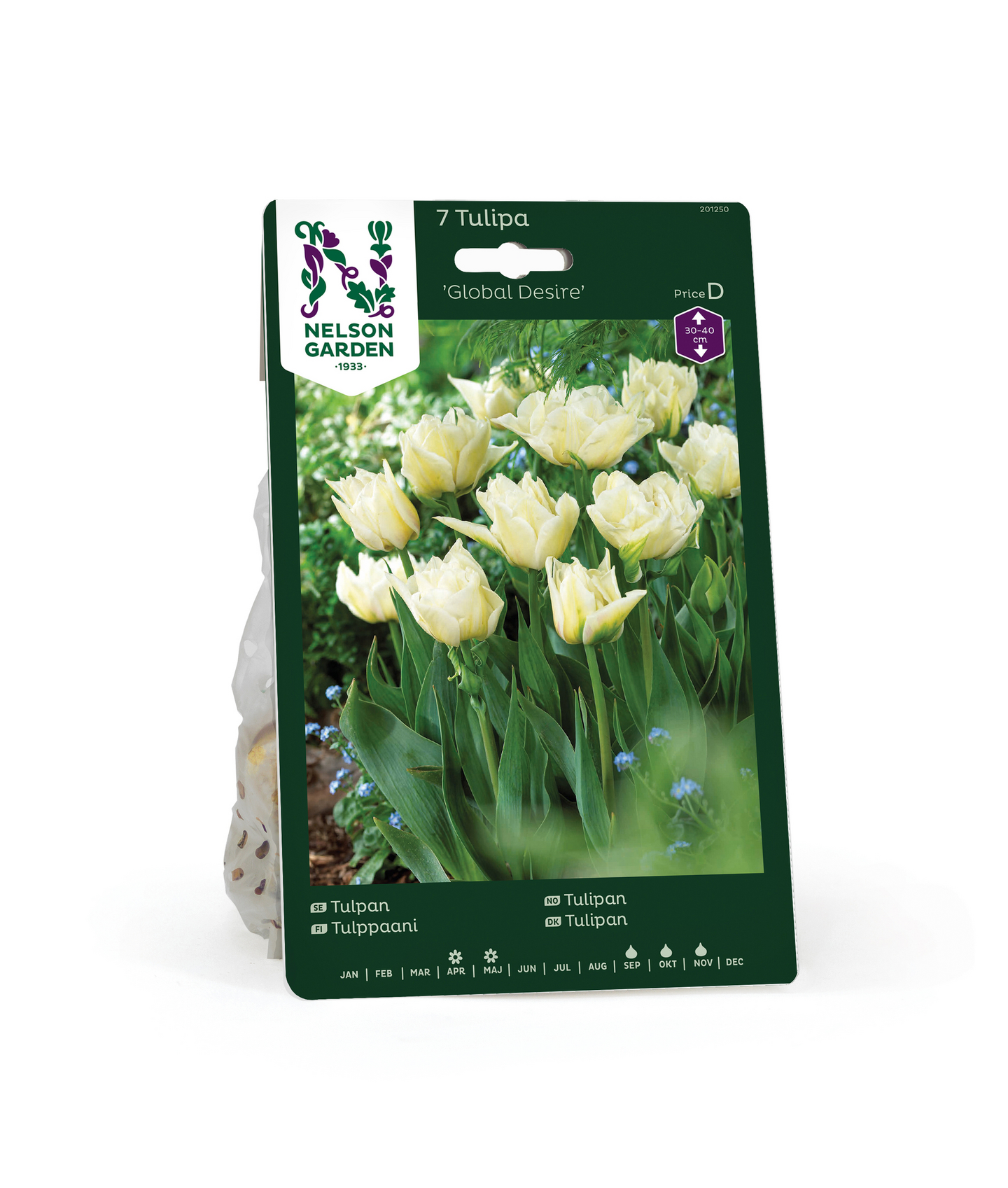 Tulppaani Tulipa Global Desire Nelson Garden 7kpl