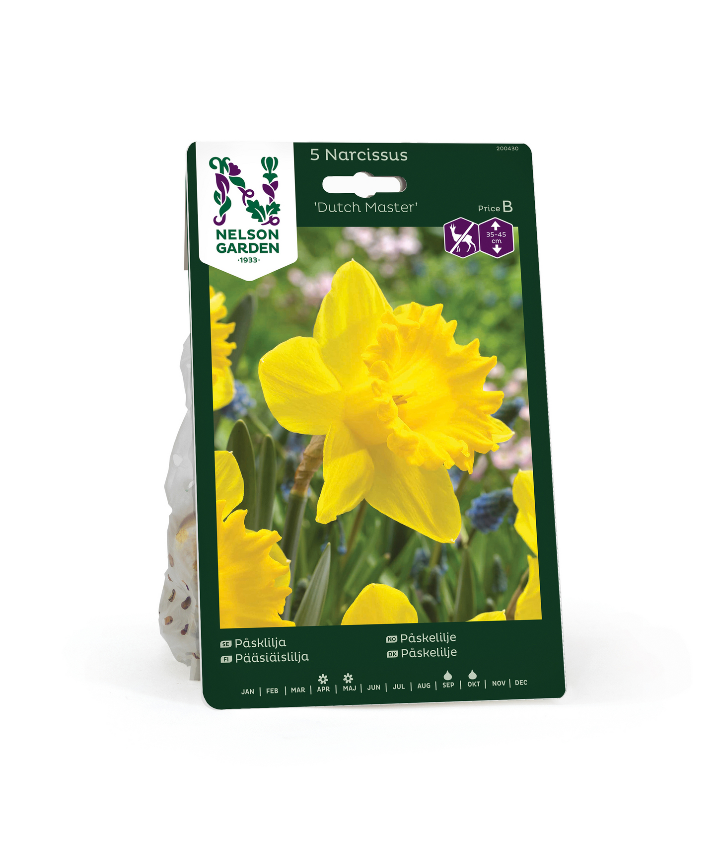 Pääsiäislilja Narcissus Dutch Master Nelson Garden 5kpl