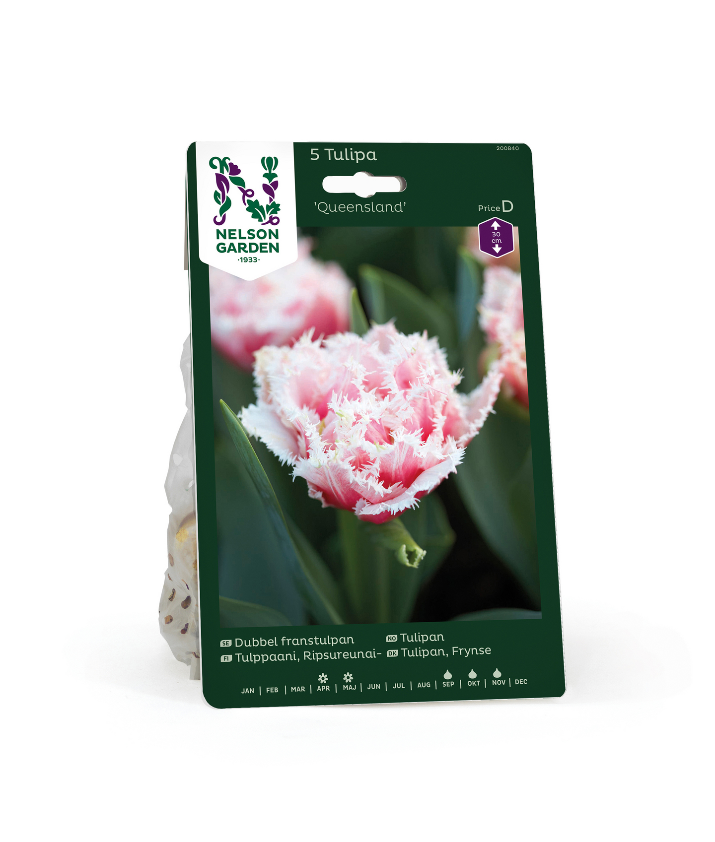 Tulppaani Tulipa Queensland Nelson Garden 5kpl