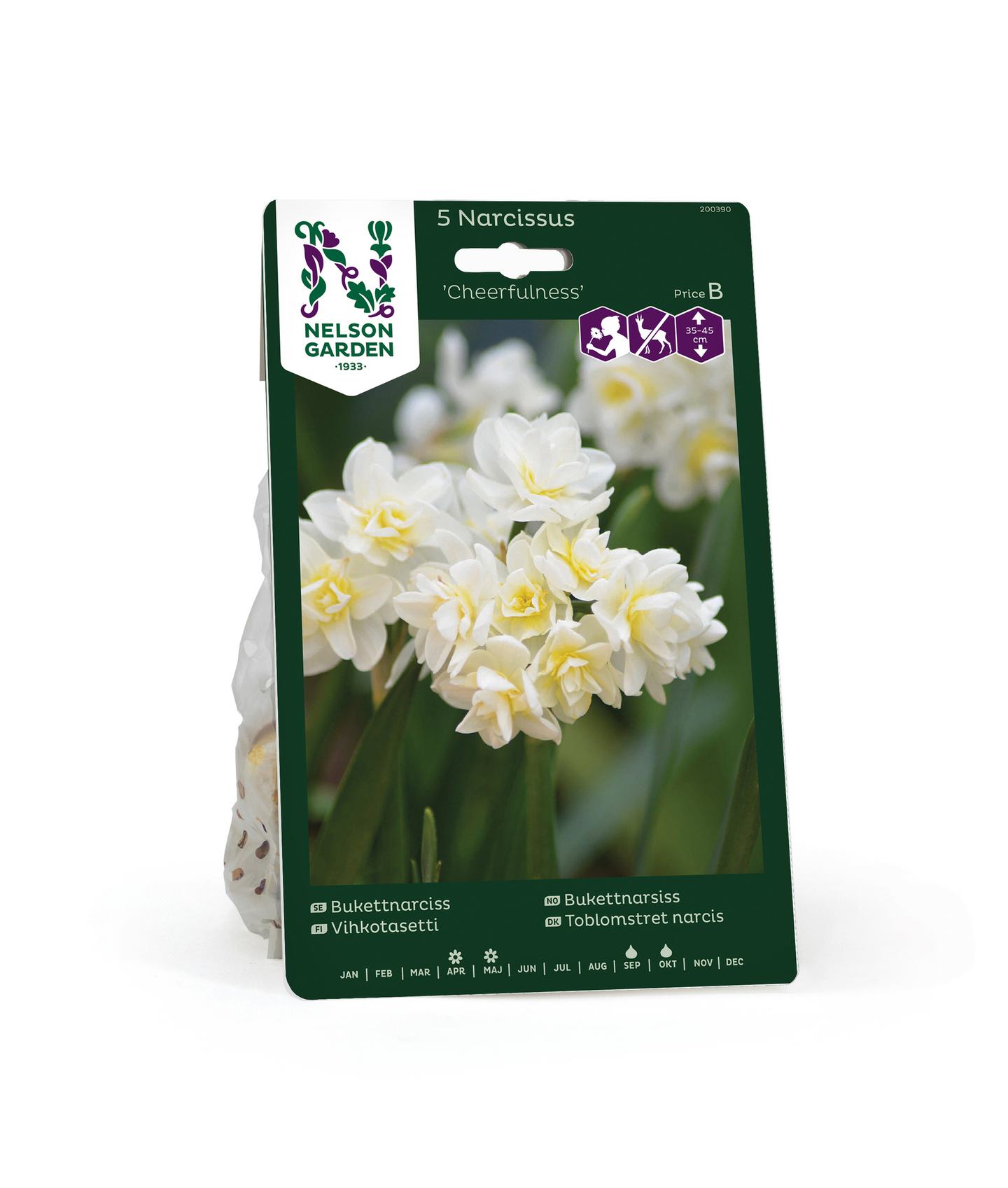 Vihkotasetti Narcissus Cheerfulness Nelson Garden 5kpl