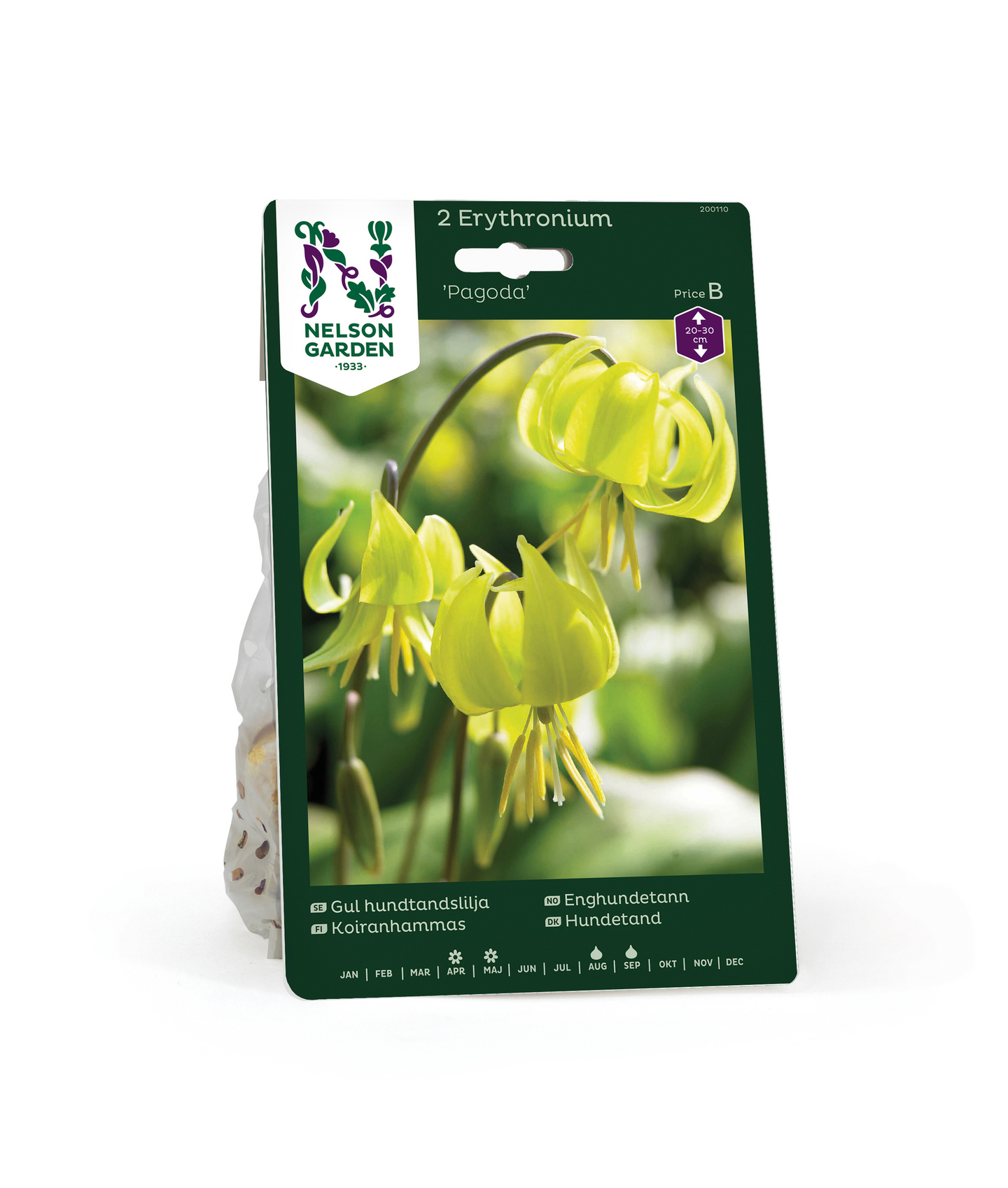 Keltakoiranhammas Erythronium Pagoda Nelson Garden 2kpl