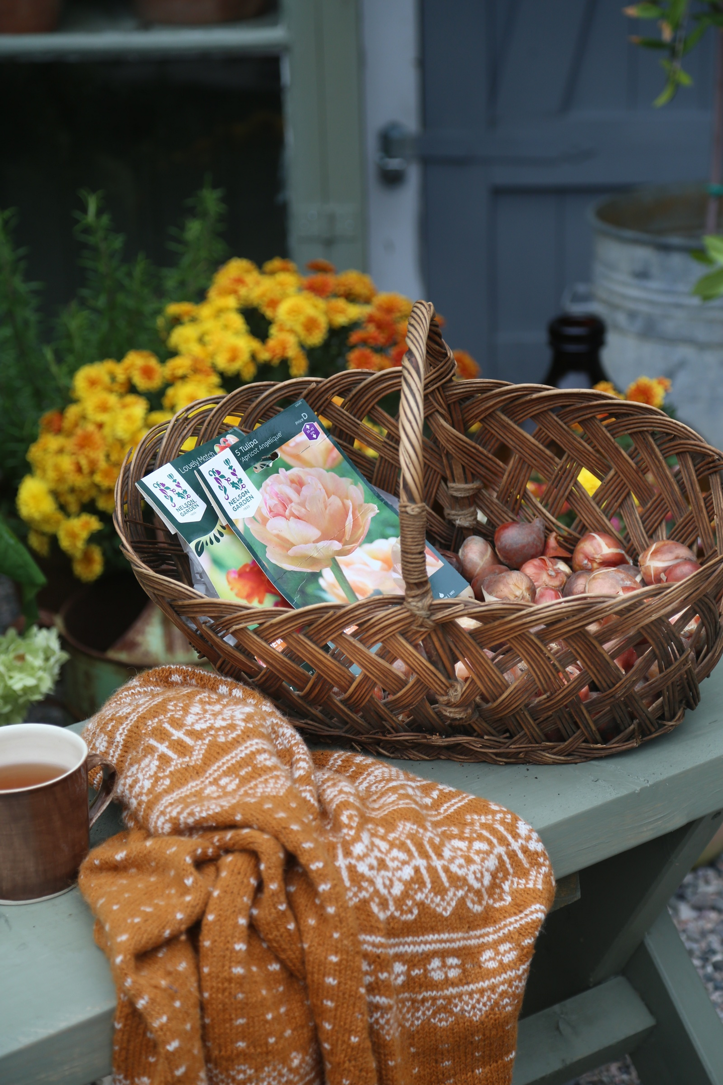 Tulppaani Tulipa Apricot Angelique Nelson Garden 5kpl