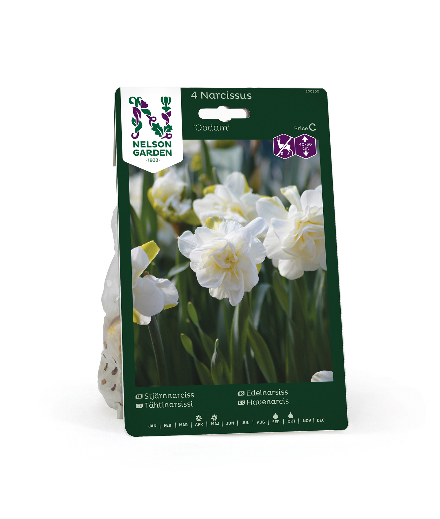 Tähtinarsissi Narcissus Obdam Nelson Garden 4kpl