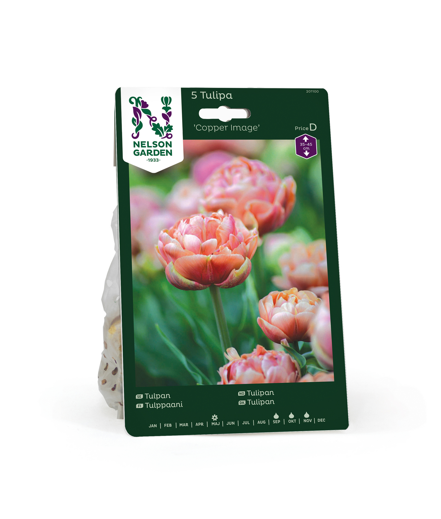 Tulppaani Tulipa Copper Image Nelson Garden 5kpl