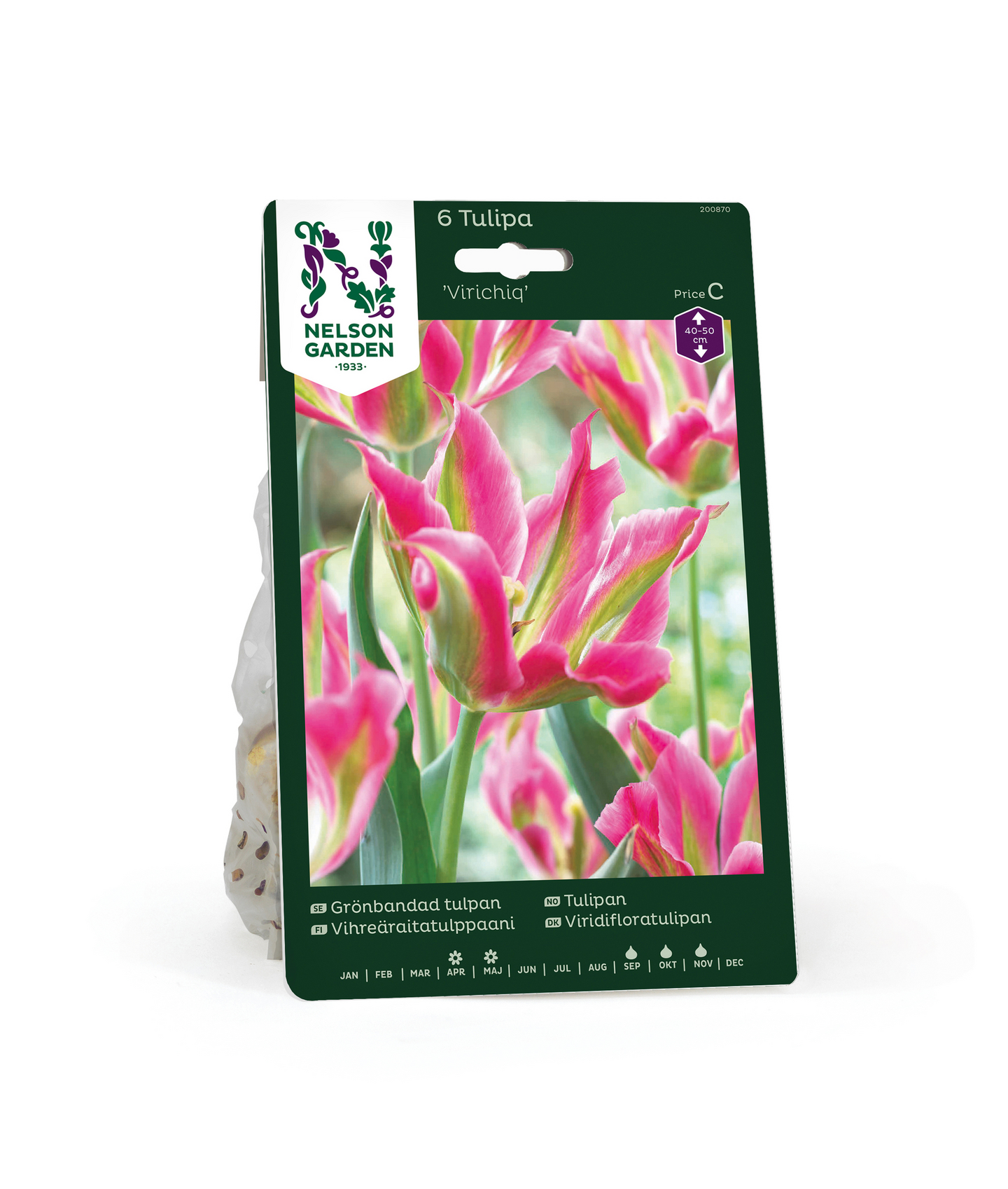 Tulppaani Tulipa Virichiq Nelson Garden 6kpl