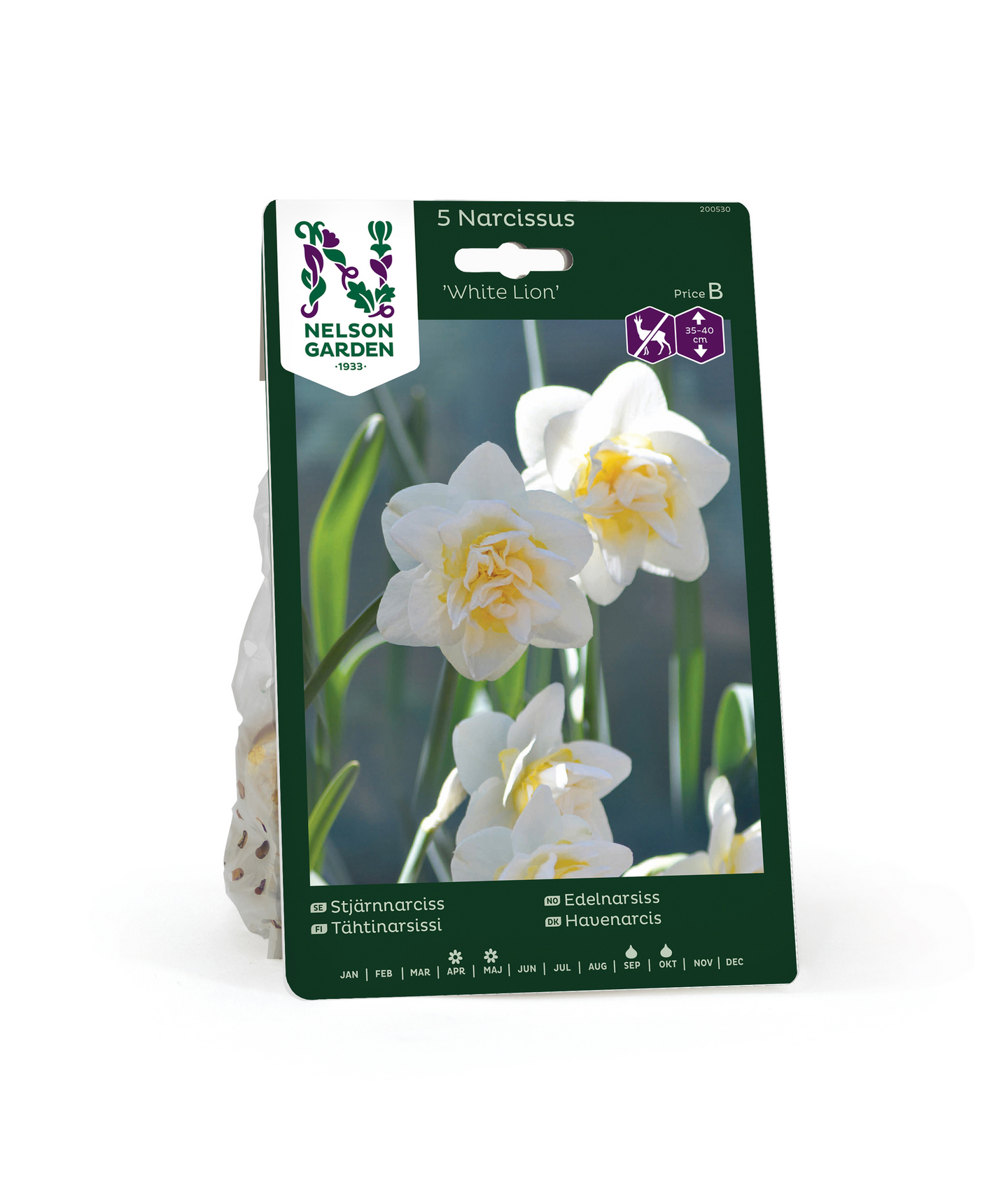 Tähtinarsissi Narcissus White Lion Nelson Garden 5kpl