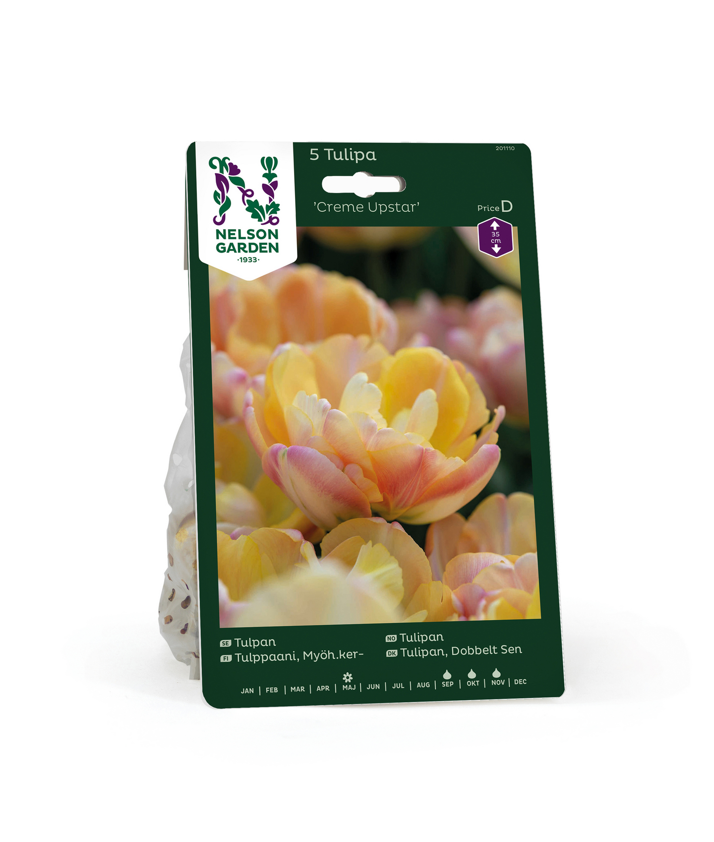 Tulppaani Tulipa Creme Upstar Nelson Garden 5kpl