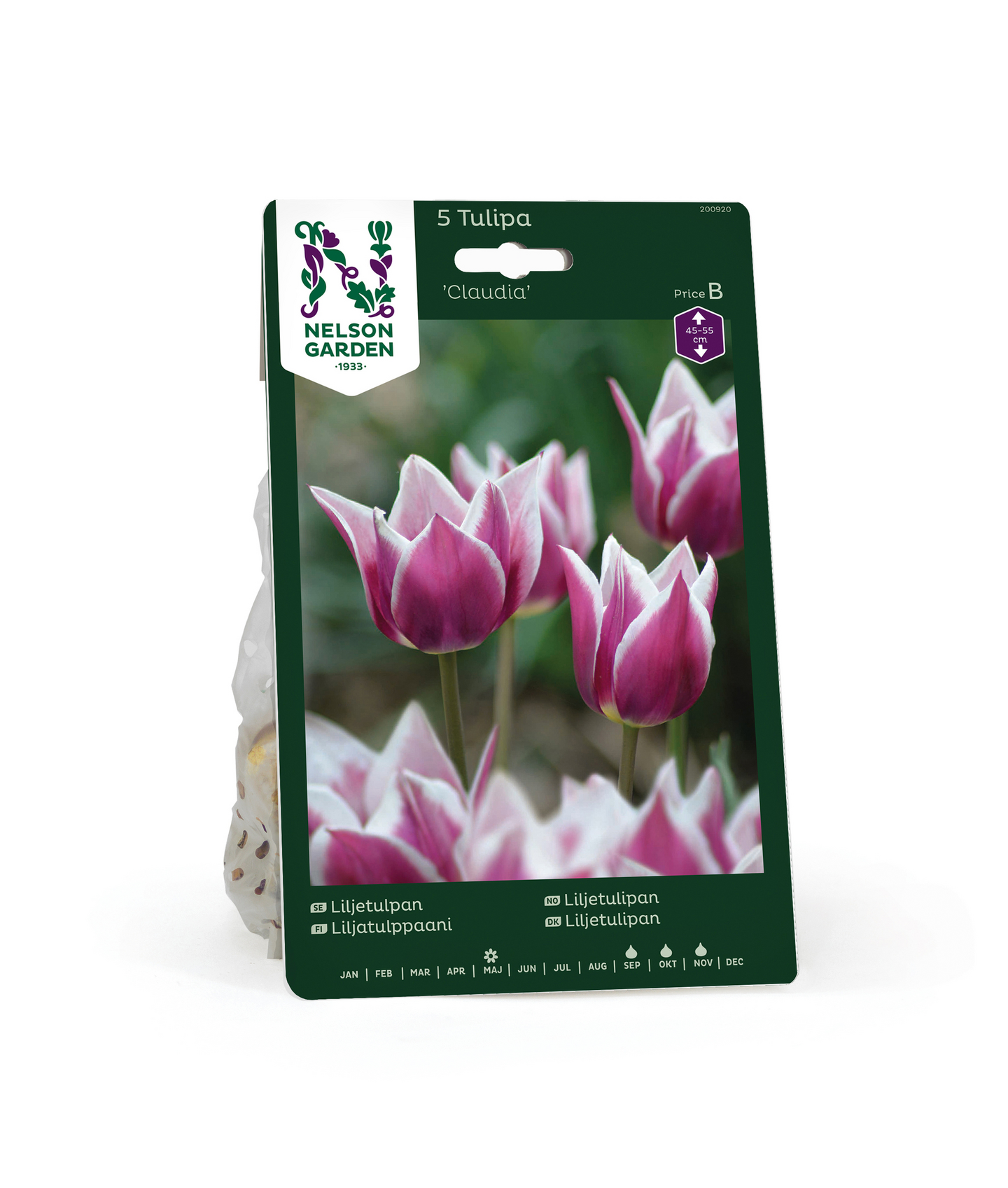 Liljatulppaani Tulipa Claudia Nelson Garden 5kpl