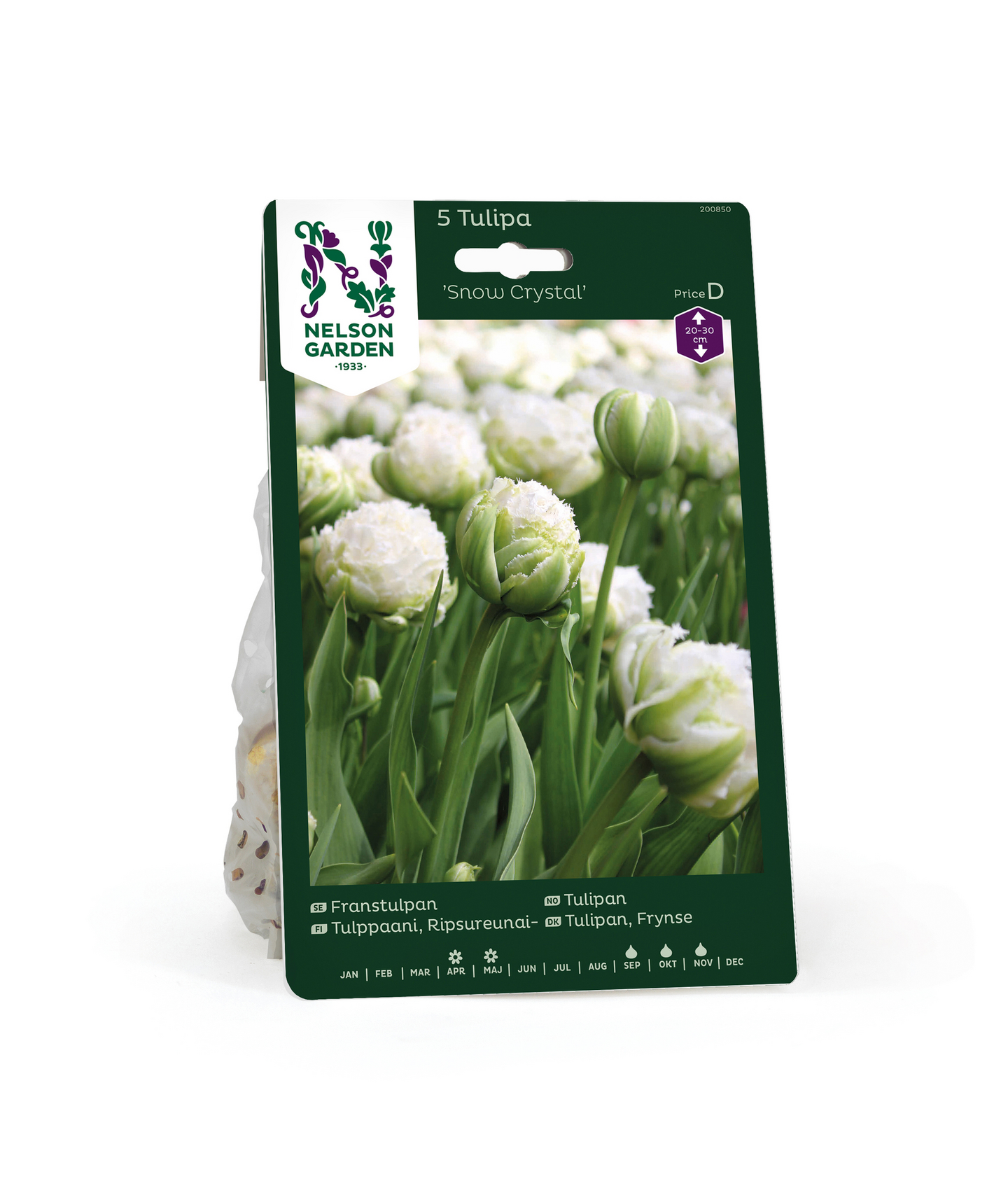 Tulppaani Tulipa Snow Crystal Nelson Garden 5kpl