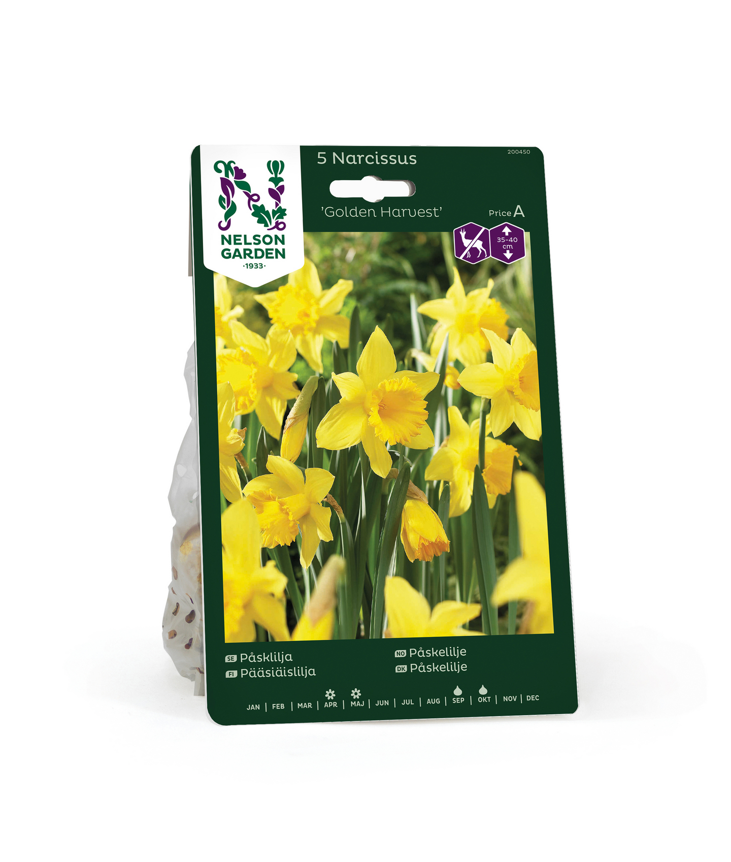 Pääsiäislilja Narcissus Golden Harvest Nelson Garden 5kpl