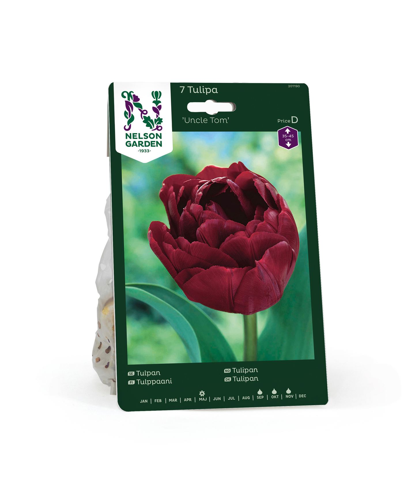 Tulppaani Tulipa Uncle Tom Nelson Garden 7kpl