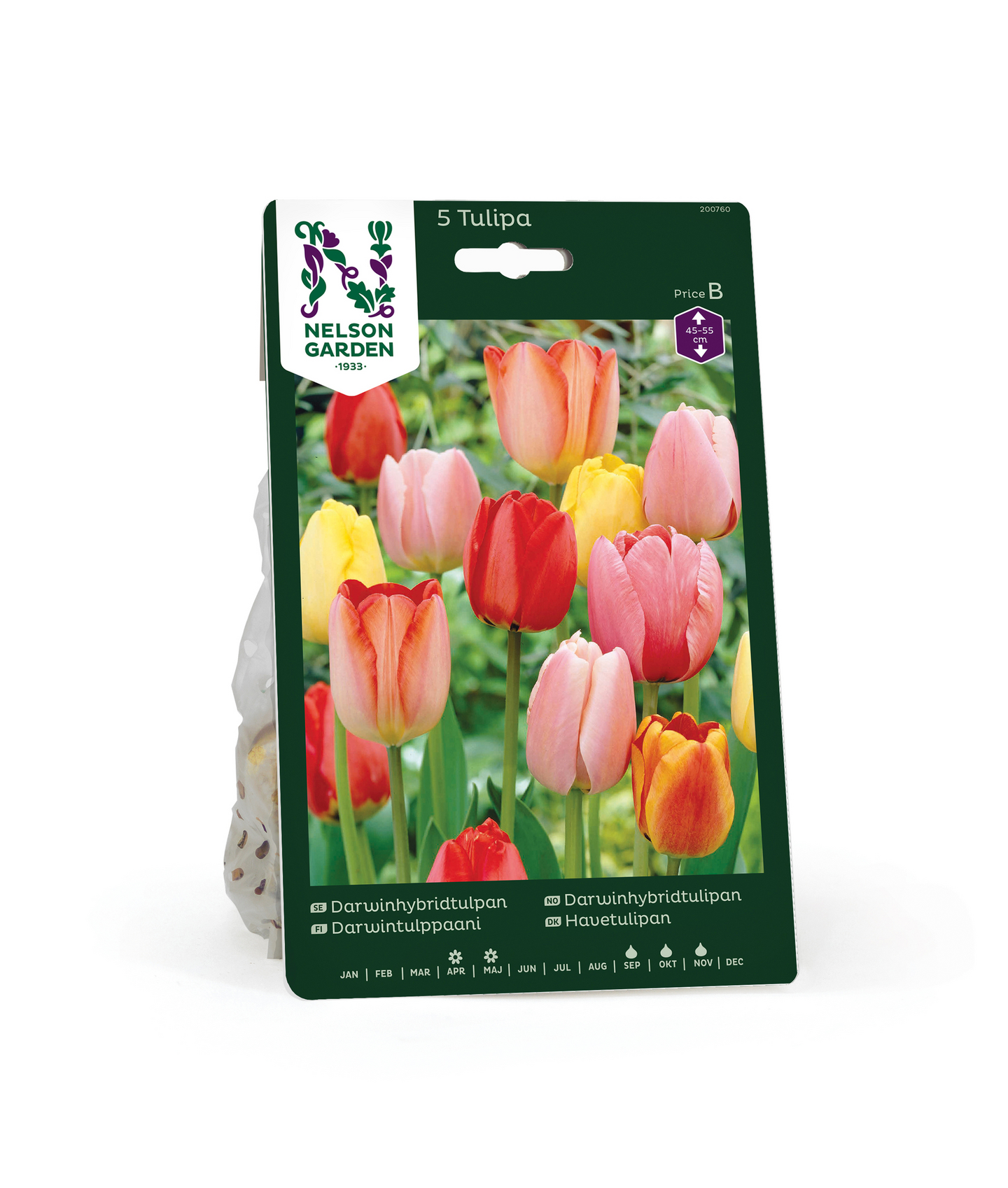 Darwintulppaani Tulipa Darwinhybrid Värisekoitus Nelson Garden 5kpl