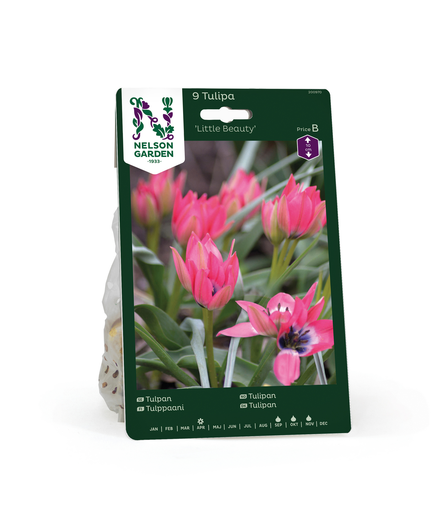 Tulppaani Tulipa Little Beauty Nelson Garden 9kpl