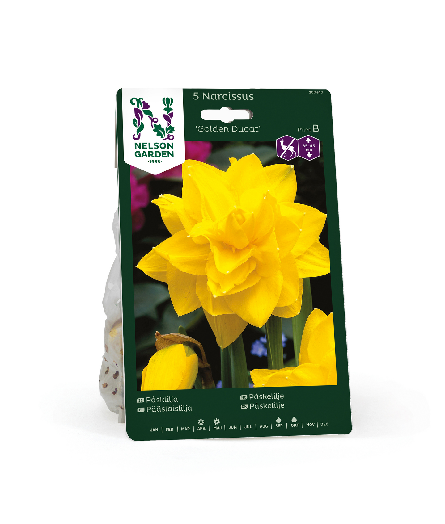 Pääsiäislilja Narcissus Golden Ducat Nelson Garden 5kpl