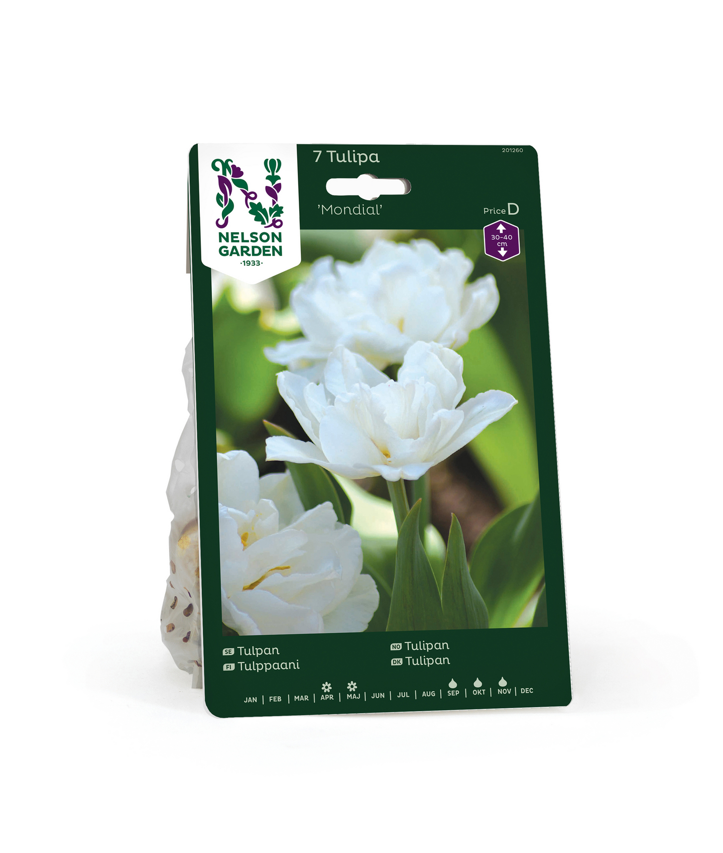 Tulppaani Tulipa Mondial Nelson Garden 7kpl