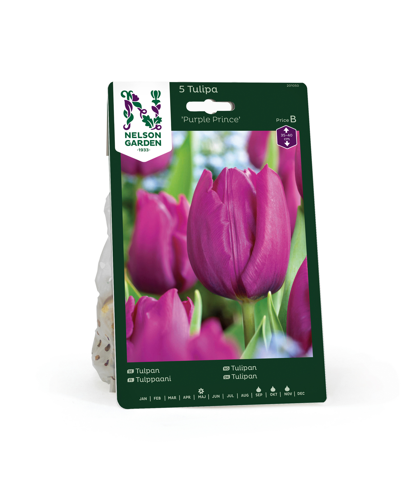 Tulppaani Tulipa Purple Prince Nelson Garden 5kpl