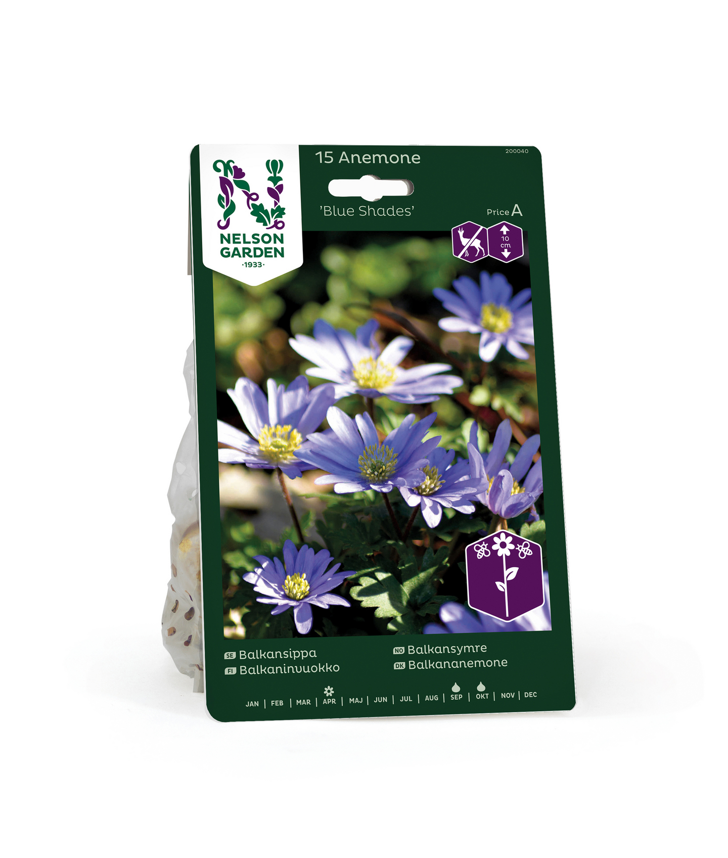 Balkaninvuokko Anemone Blanda Blue Shades Nelson Garden 15kpl