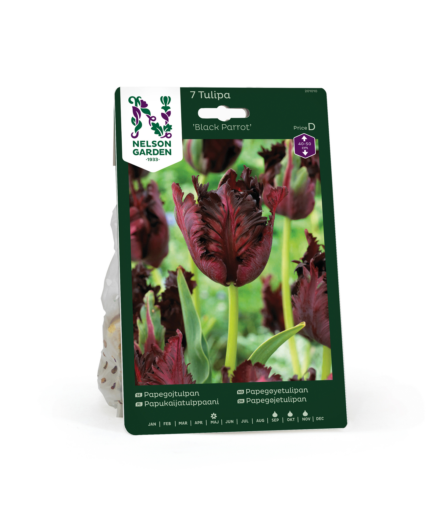 Papukaijatulpp Tulipa Black Parrot Nelson Garden 7kpl