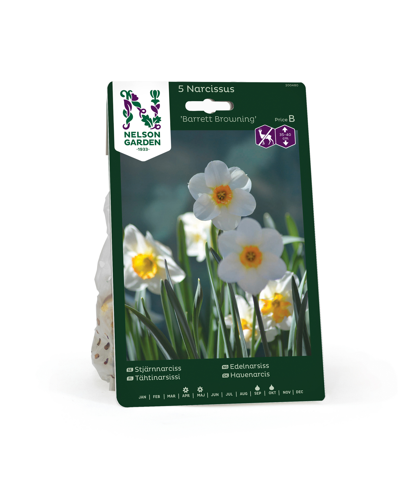 Tähtinarsissi Narcissus Barrett Browning Nelson Garden 5kpl