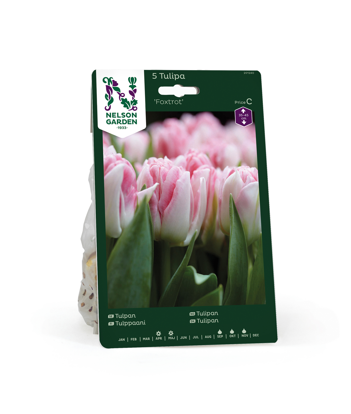 Tulppaani Tulipa Foxtrot Nelson Garden 5kpl