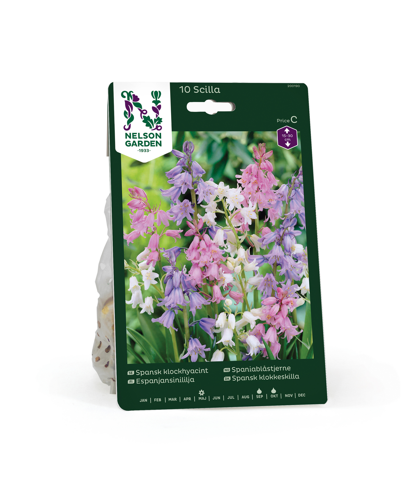 Espanjansinililja Scilla Hispanica Värisekoitus Nelson Garden 10kpl