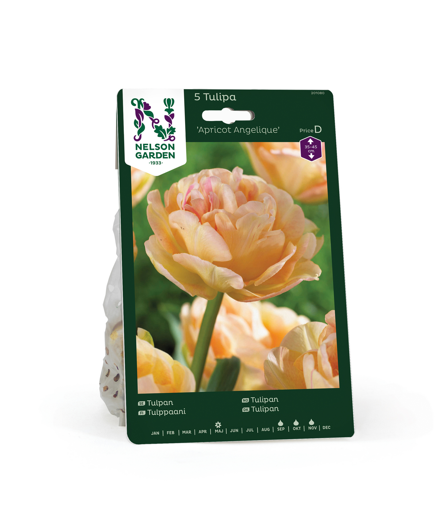 Tulppaani Tulipa Apricot Angelique Nelson Garden 5kpl