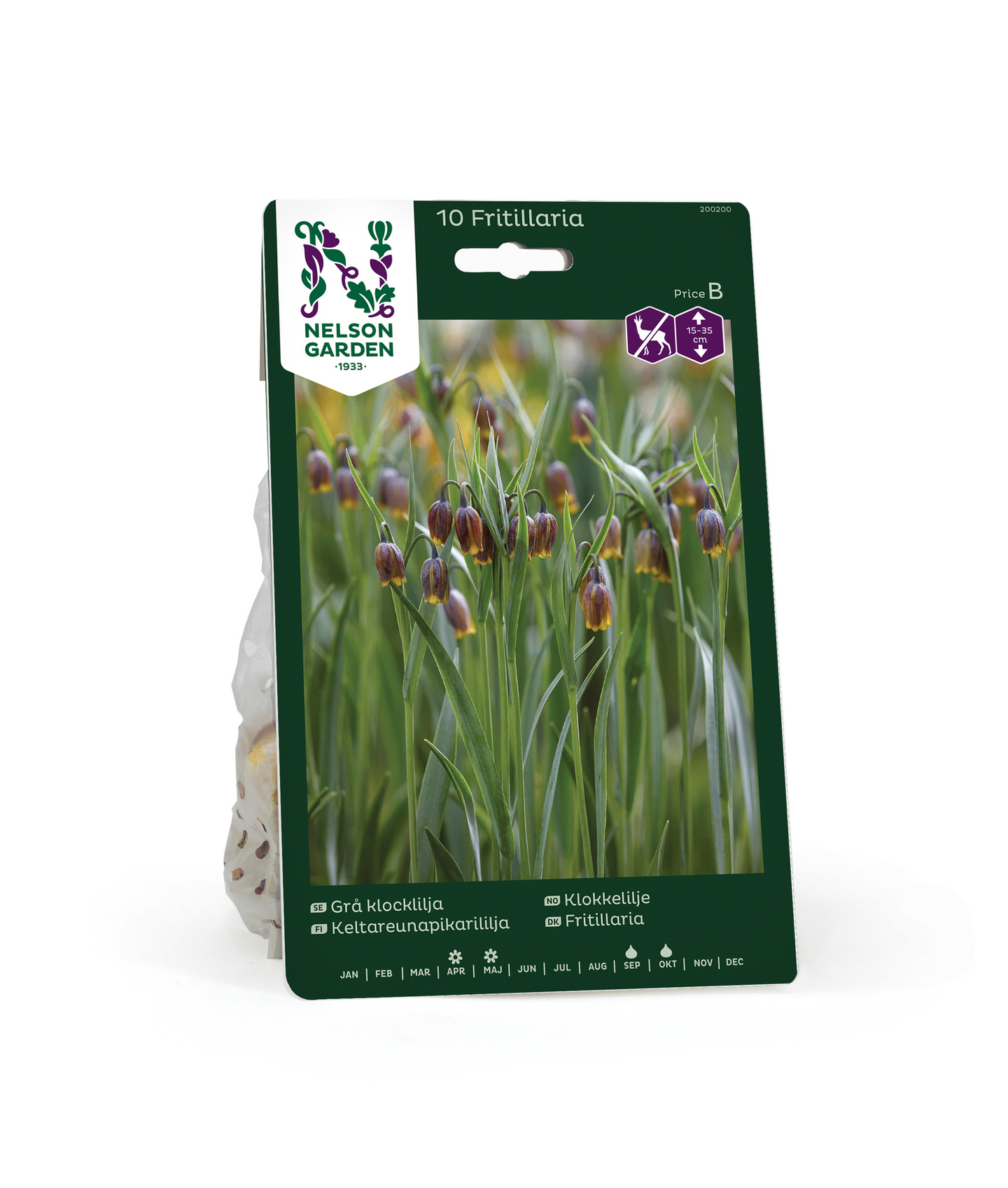 Keltareunapikarililja Fritillaria Uva Vulpis Nelson Garden 10kpl