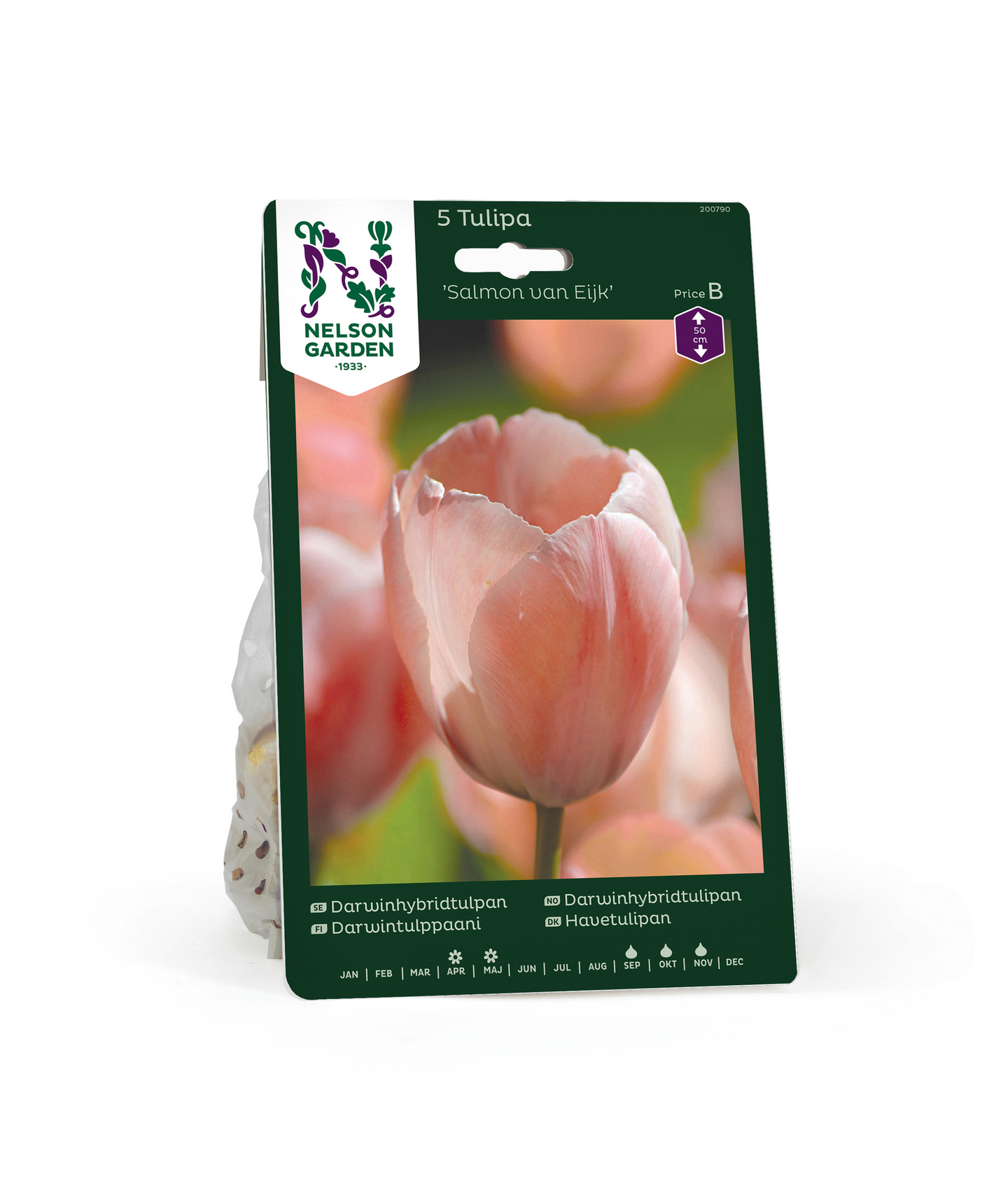 Darwintulpp Tulipa Salmon Van Eijk Nelson Garden 5kpl