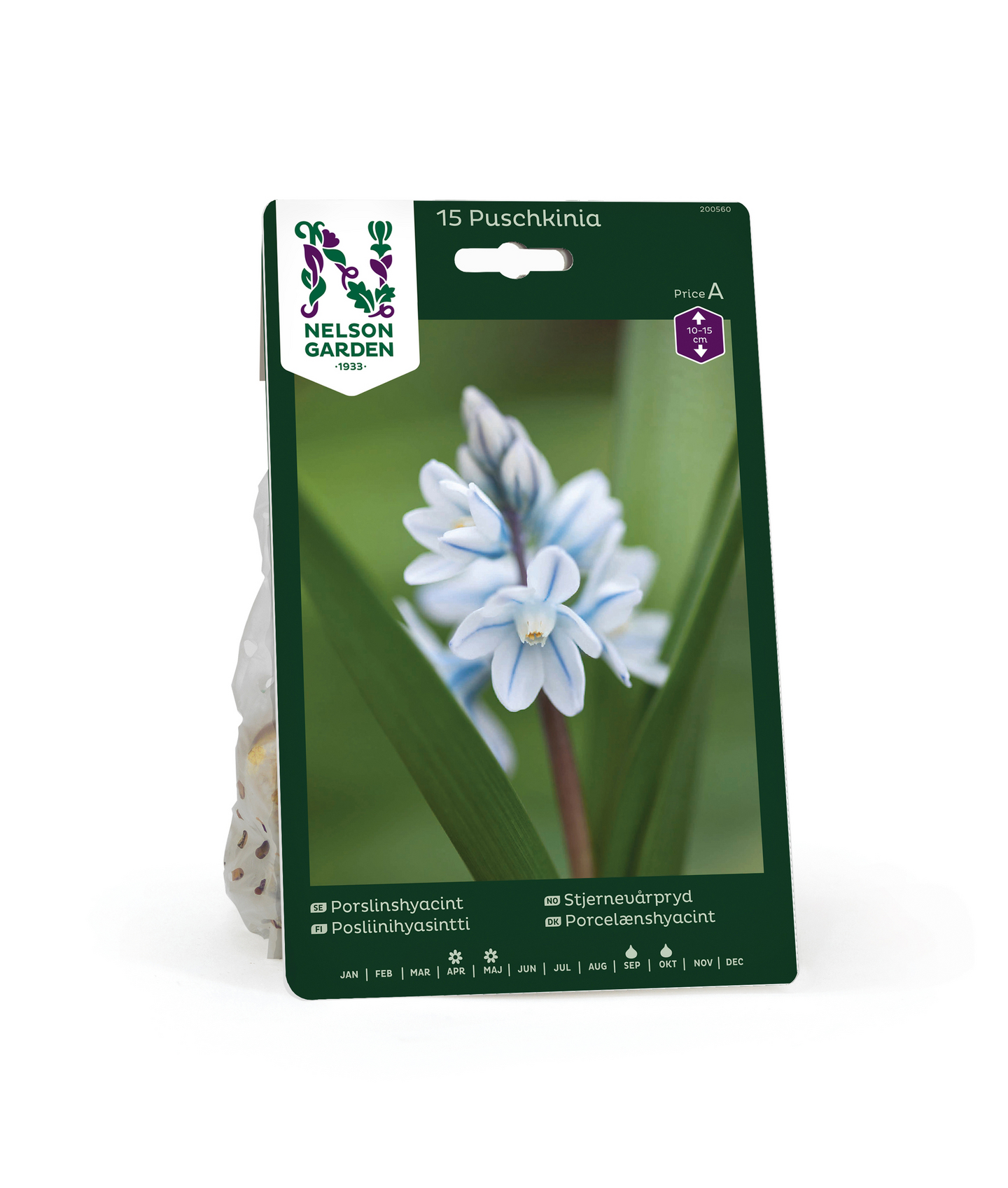 Posliinihyasintti Puschkinia Scilloides Nelson Garden 15kpl