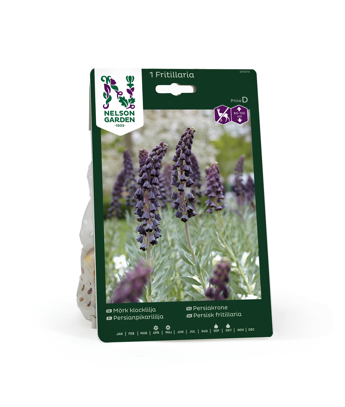Persianpikarililja Fritillaria Persica Nelson Garden 1kpl