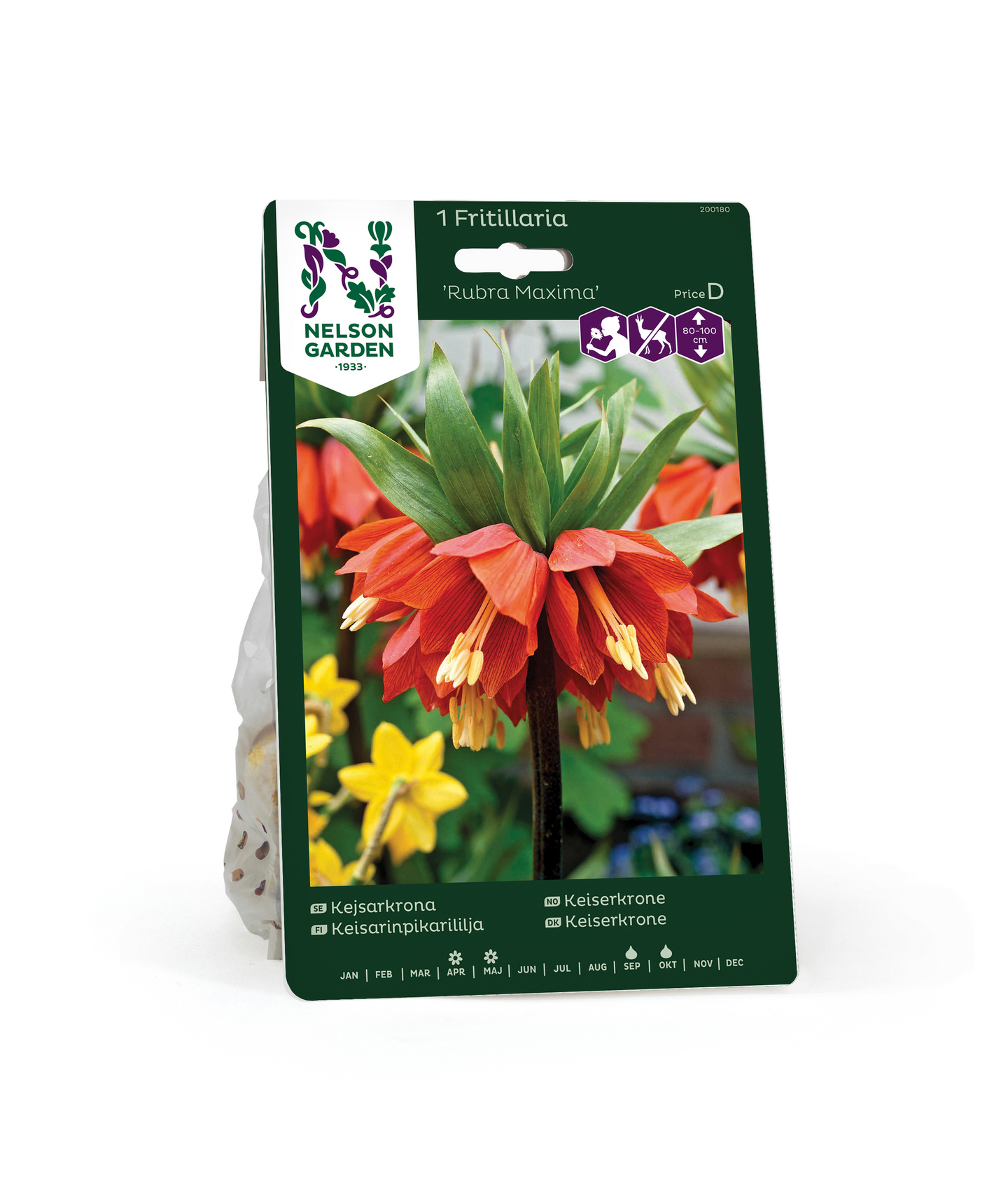 Keisarinpikarililja Fritillaria Imp Rubra Maxima Nelson Garden 1kpl