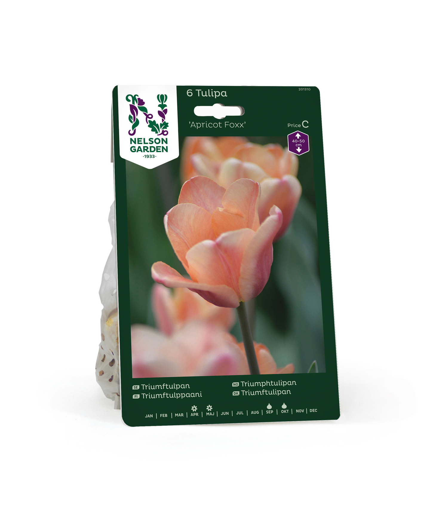 Triumftulppaani Tulipa Apricot Foxx Nelson Garden 6kpl