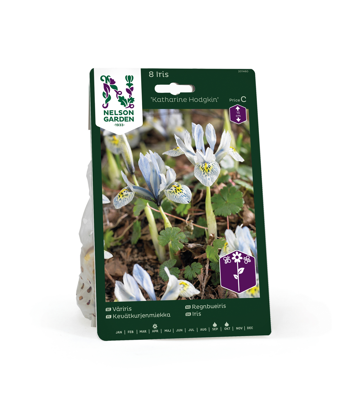 Kevätkurjenmiekka Iris Reticulata Katharine Hodgkin Nelson Garden 8kpl