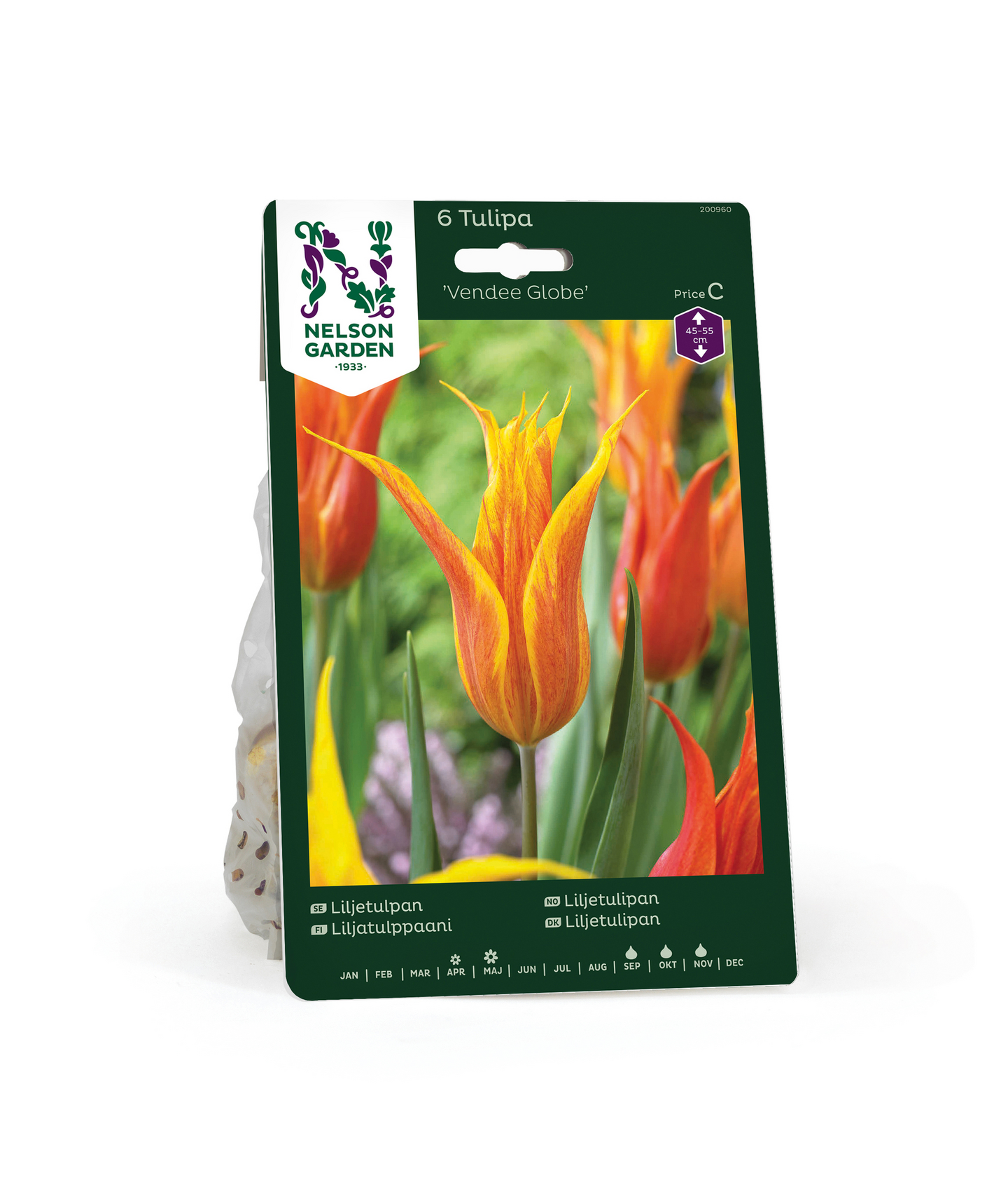 Liljatulppaani Tulipa Vandee Globe Nelson Garden 6kpl