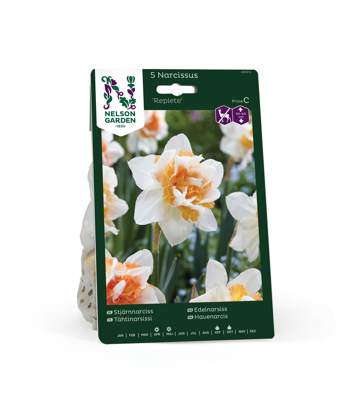 Tähtinarsissi Narcissus Replete Nelson Garden 5kpl