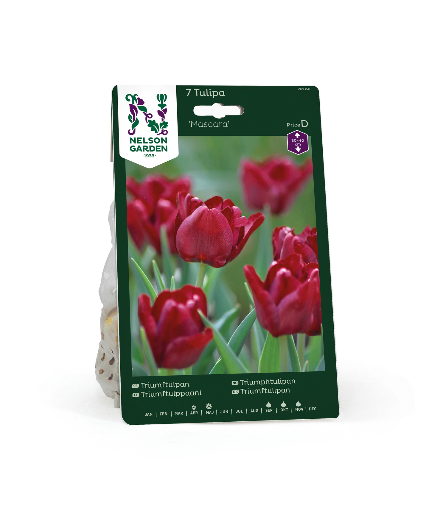 Triumftulppaani Tulipa Mascara Nelson Garden 7kpl