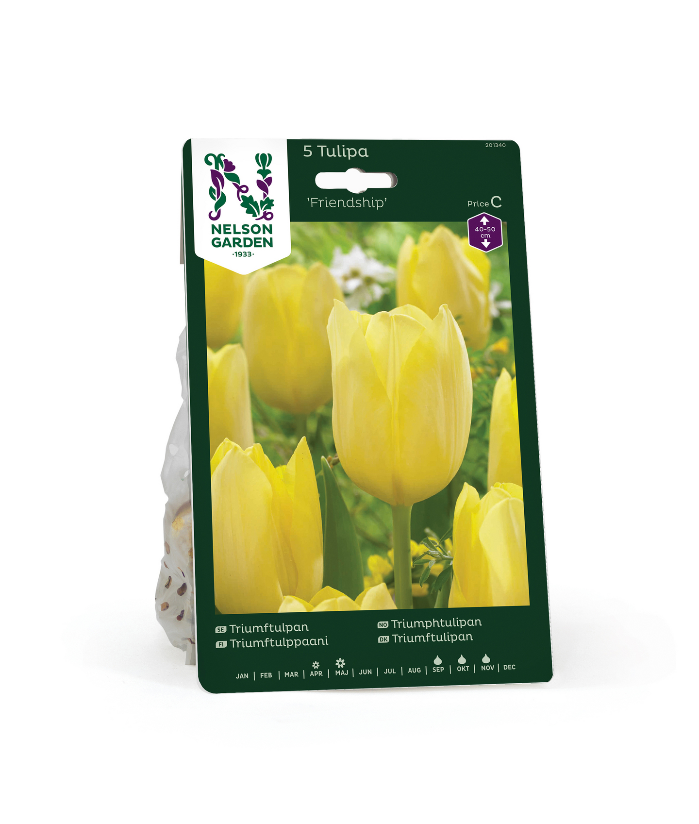 Triumftulppaani Tulipa Friendship Nelson Garden 5kpl