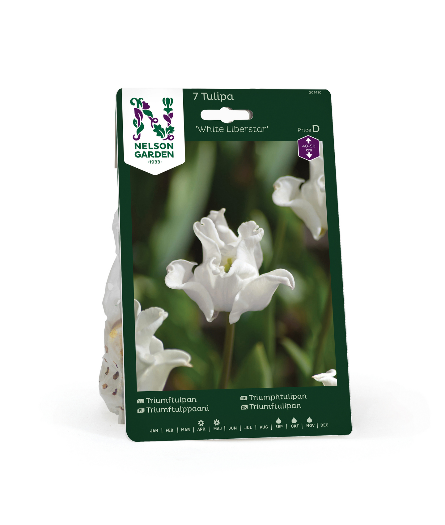 Triumftulppaani Tulipa White Liberstar Nelson Garden 7kpl